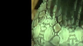 Wow! Super Hot Asian Ladyboys Living Their Best Happy Lifestyle!