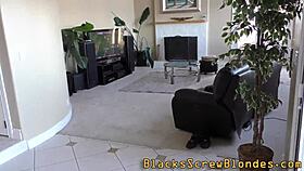 Cuties Get Together To Swap BBC Cum