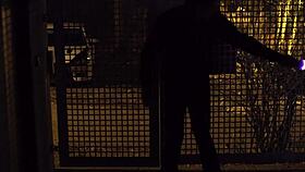 i love anal sex with kristy black, it's soo good