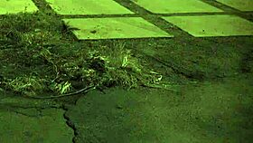 Is this extreme BDSM too much for you?