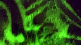 Mzkiwi Tries Anal For The 1st Time