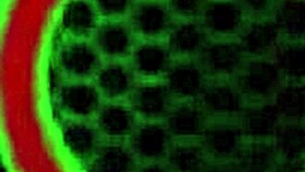 Jelena Jensen ahmii Mindin pillua intensiivisellä suullisella toiminnalla!