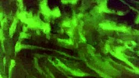 Mzkiwi Tries Anal For The 1st Time