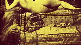 dark lantern presents top 20 victorian nudes with erotic confessions