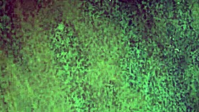 Watch this gay guy during a pickup plan