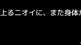 Celesphonia 4 Game Anime Hentai Adventure