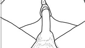 Ever seen a couple banging while sketching each other’s bodies?