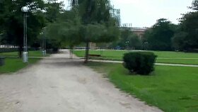 brunette couple uses dildo for hardcore fingering