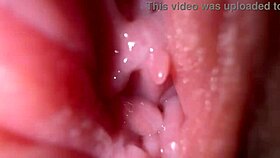 close up pussy spreading with dirty talk