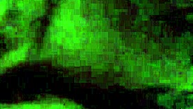 Slut baylee loves to suck cock