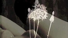 dark lantern presents top 20 victorian nudes with erotic confessions