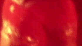 sexy belly dancer teases with erotic moves