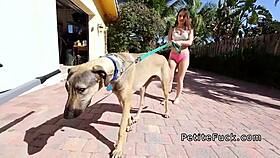 Feeling The Intense Pleasure As Nasty Petite Chick Fucks Big Black Cock