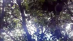 That latina teen offered her ass to me