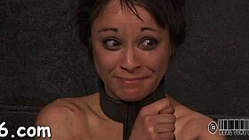 Exciting video with intense action scenes