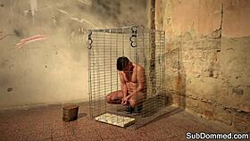 Teasing euro femdom tugging submissive dick till it bursts 😈