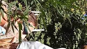 Hot suck and fuck happening in the 420 patch.