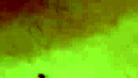 naughty brazilian couple pt 8 - naughty little 18+ ant