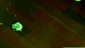 Young Boys Masturbating Porn Videos and Gay Erect Sex a Very