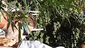 Hot suck and fuck happening in the 420 patch.