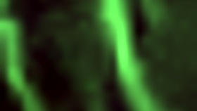 Knowing when things are about to happen in a casual setting