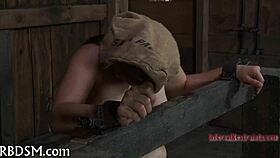 Boxed Up Girl Gets Bent Over Doggystyle Fucking Missionary Sucking Hardcore 😲🔥