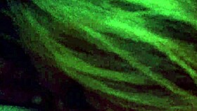 Knowing when things are about to happen in a casual setting