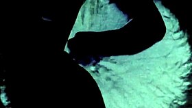 Dark Lantern Entertainment Presents Vintage Taboo Family From My Secret Life The Erotic Confessions Of A Victorian English Gentleman