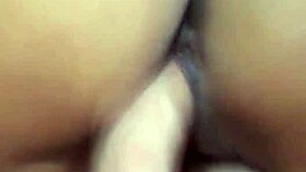 exotic swinger wife gets banged by stranger again