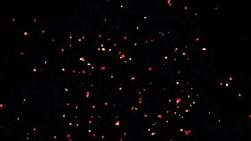 D.Va Vs Widowmaker: 'Fuck Me Hard!'