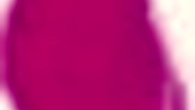 I crave that big black cock filling my curvy blonde student body every time