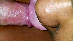 Amateur titfuck and cumshot interracial?