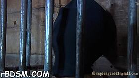 Bound playgirl receives painful feet worshipping.