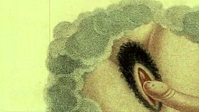 check out these vintage erotic drawings from old cartoons and anime hentai