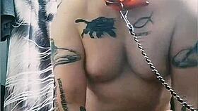 gaywolf is the big mastino