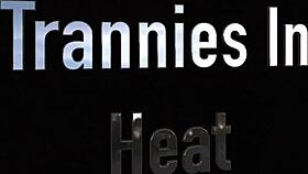 White Trannies Kimber And Raven Share Bbc Pov