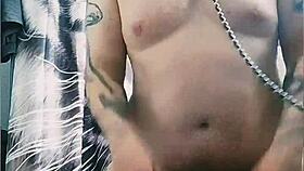 gaywolf is the big mastino