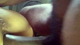 Cuckold wife lover with black cocks