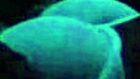 Britney Madison asks, 'Ready for blacklight sex?'