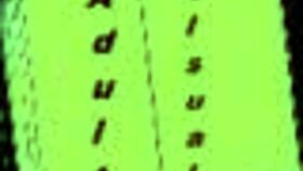 tits and boobs in harem hotel game