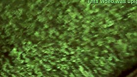 this milf gets cum in her pussy and mouth in pov