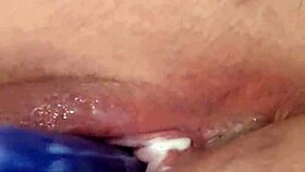 homemade solo activity with bbw amateurs