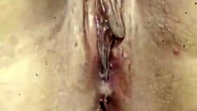 Halloween gathering with cute mature women in costumes