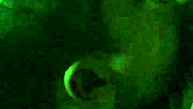 I am ready for some hot Asian gay sex