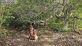 I exploit my humility just for my own benefit