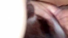 Cristal Chavez intensely sucks my balls and dick