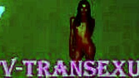 Imposing Shemale Fucks Anal In Hotel Casting Session