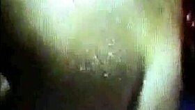 how i trained my dizzy blond daughter