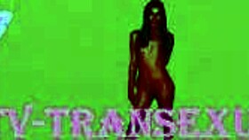 Imposing Shemale Fucks Anal In Hotel Casting Session