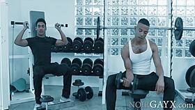 Two hot gay dudes fuck bareback in the gym mateo fernandez zario travez